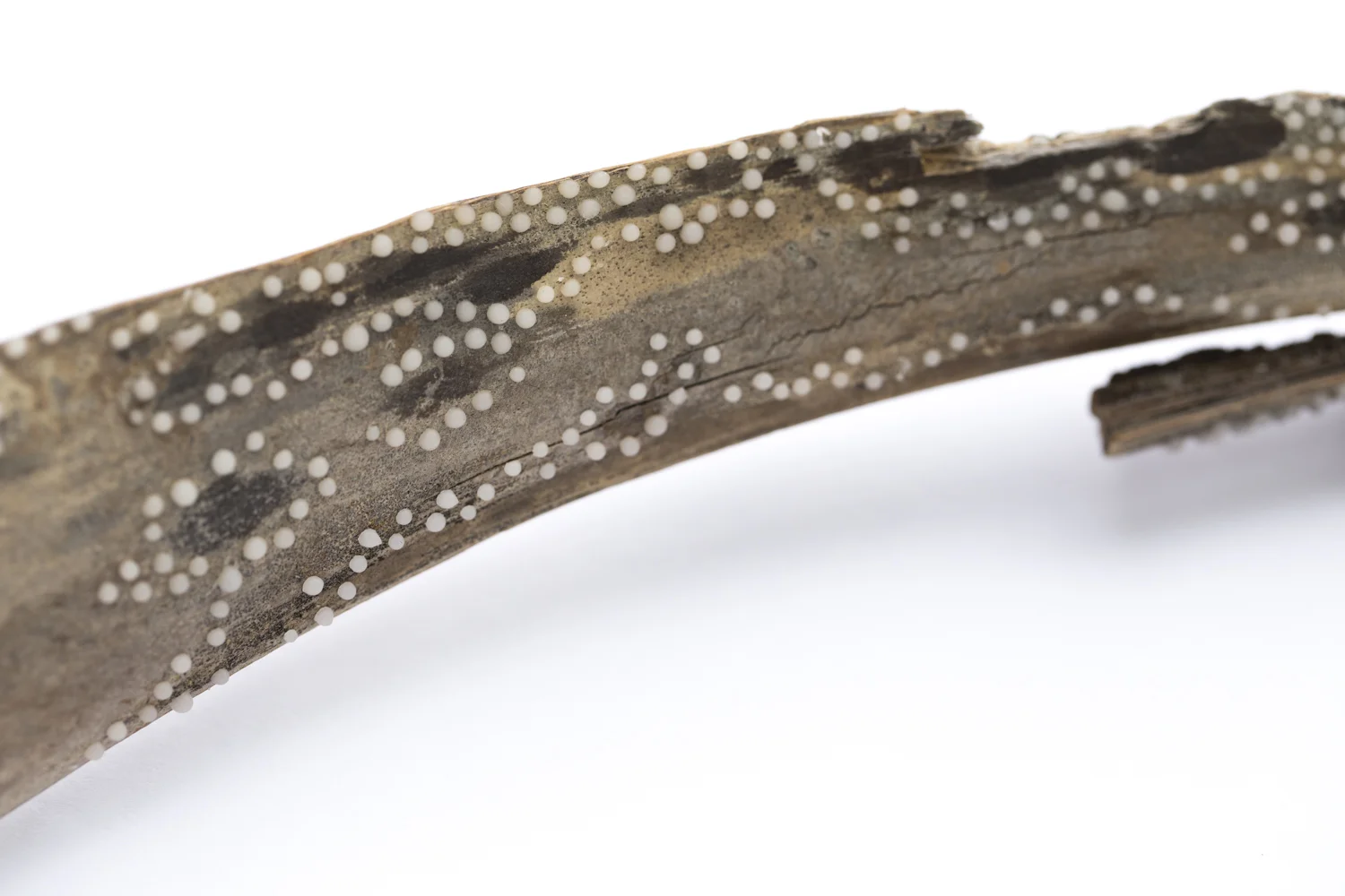 "In These Bones", (detail)
