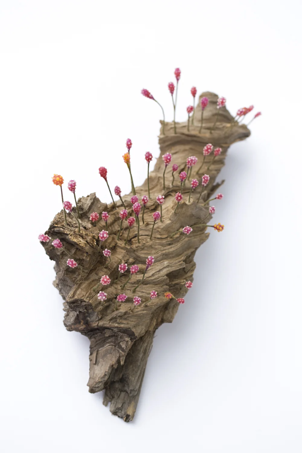 "Tiny Forests in a Big World", (alternate view)