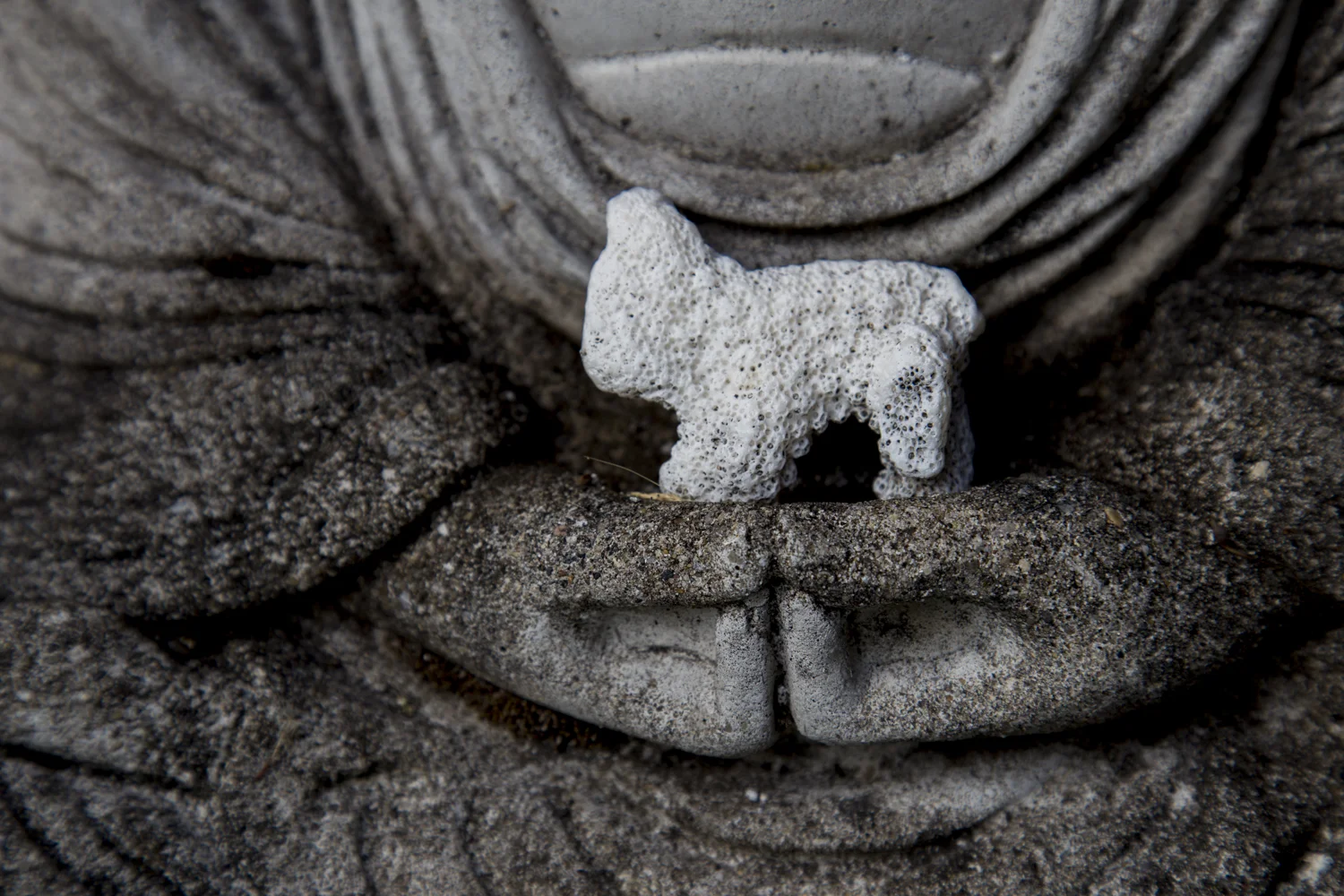 Found piece of coral (Stephen), resting in the hands of a Buddha statue... embodiment of the peace and joy experienced on this journey...
