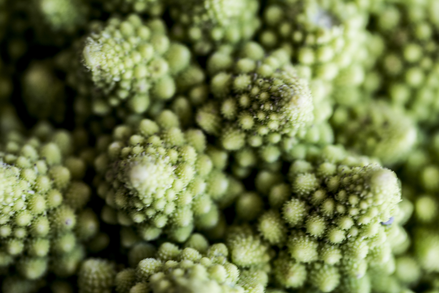 "Broccoli at its Finest"