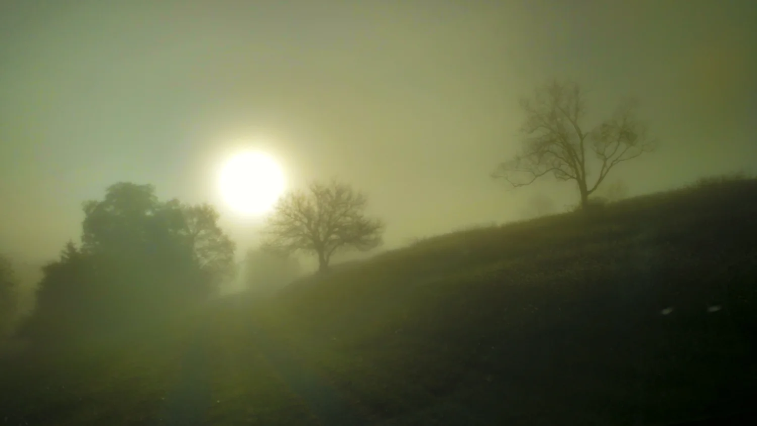 Stunning views of sunrise en route to Kathleen's, mystified by the ghostly fog...