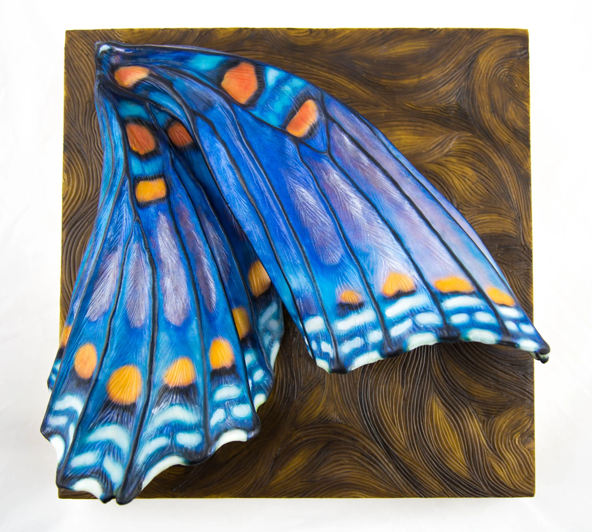 "Reveal", 2017, (12 x 12.5 x 4.25 inches)