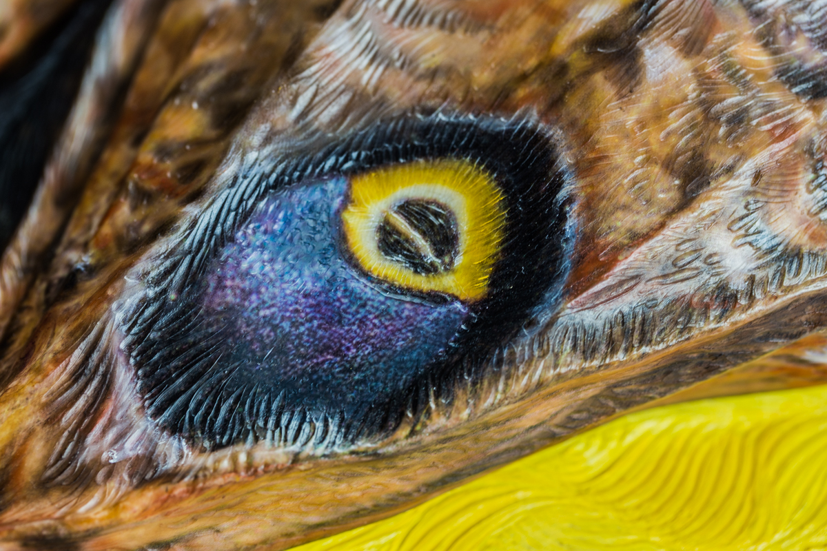 "Night Vision", detail
