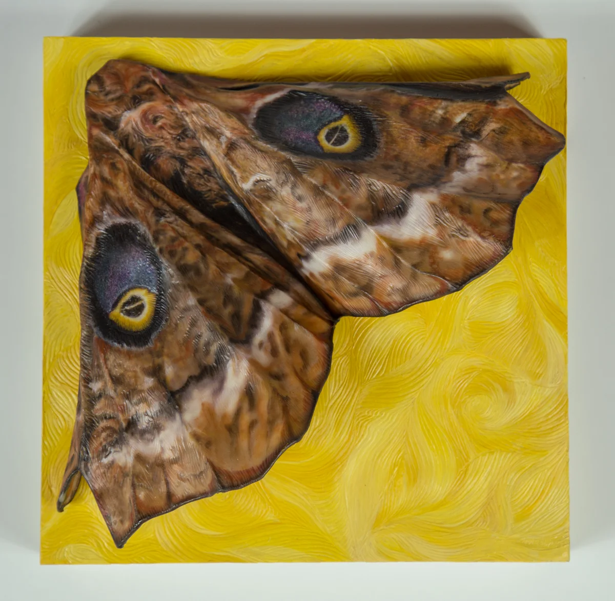 "Night Vision", (12 x 12 x 4.75 in), cradled panel