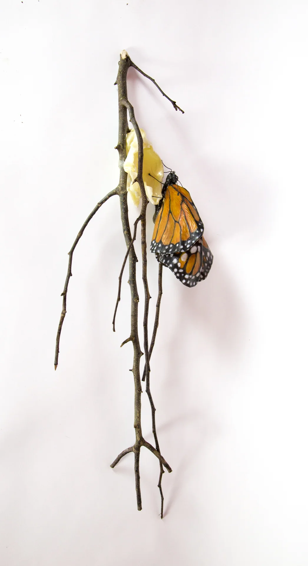 "Become", (35 x 12 x 9 inches)