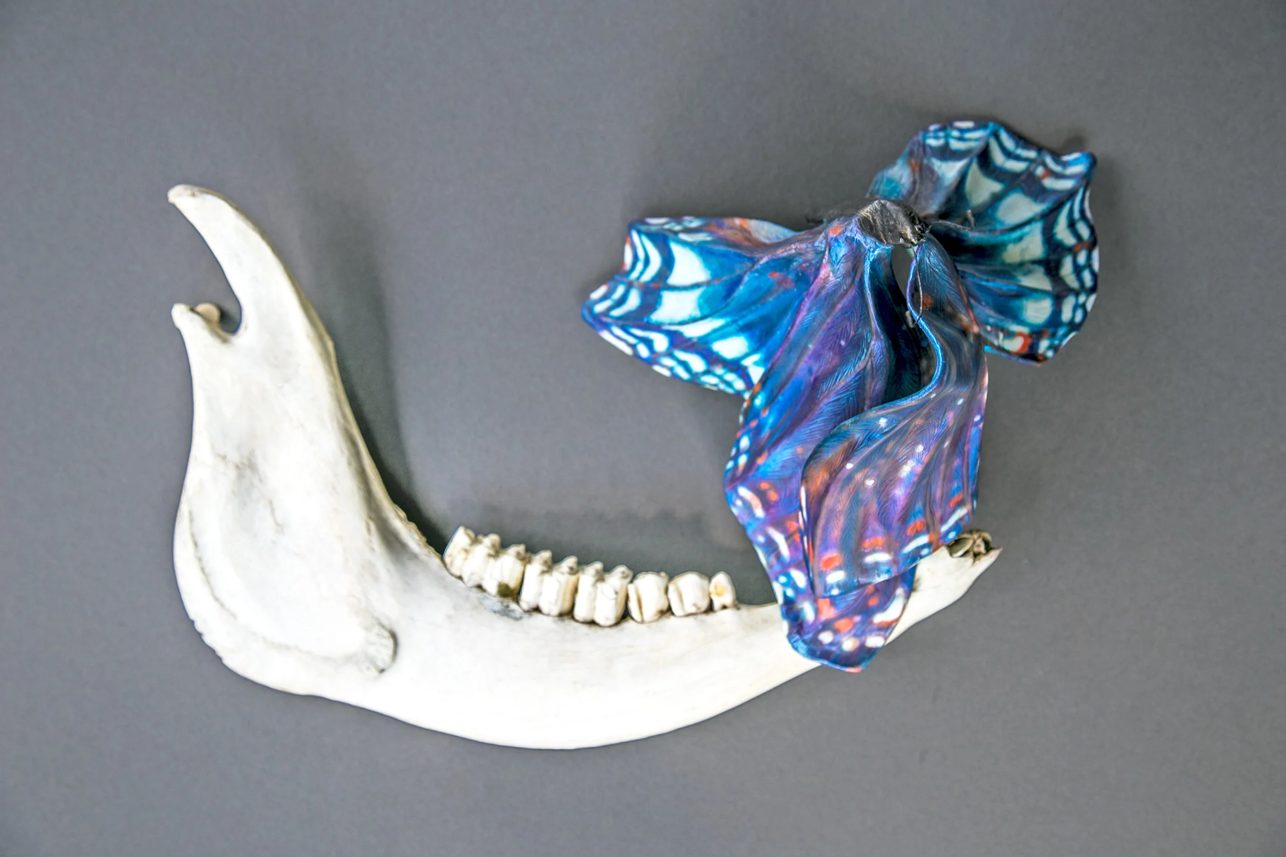 "Speak", (13 x 16 x 9 inches), (wall hanging)