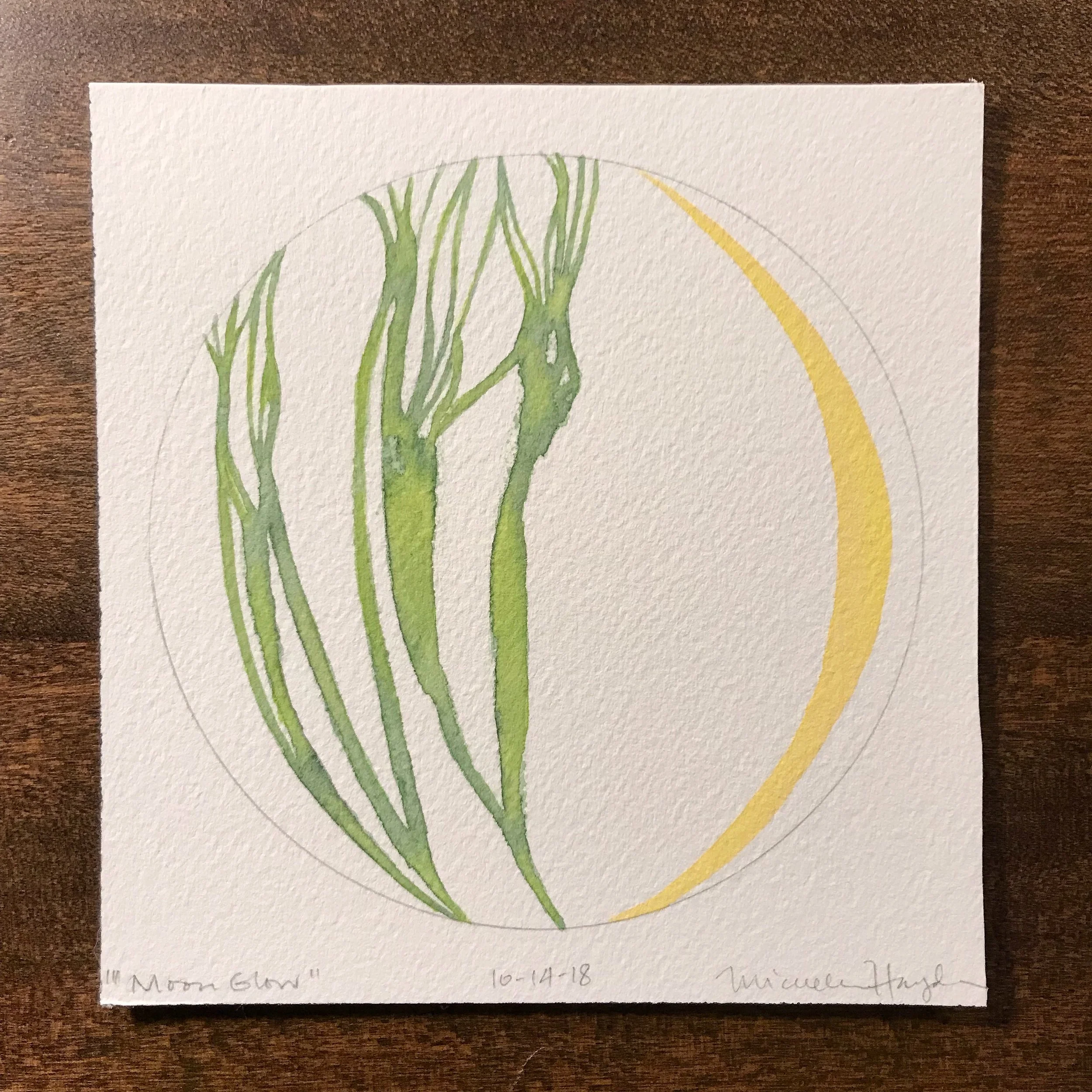(“I love to watch the moon appear in the night sky, watching the changing phases that seem to unfold all too quickly as the days pass. I think my favorite of all is when the moon is visible only as a sliver. I am amazed at the amount of light that is cast on the fields below from even that small bit, a reminder that hope and vision are possible with just a glimmer of light.”)