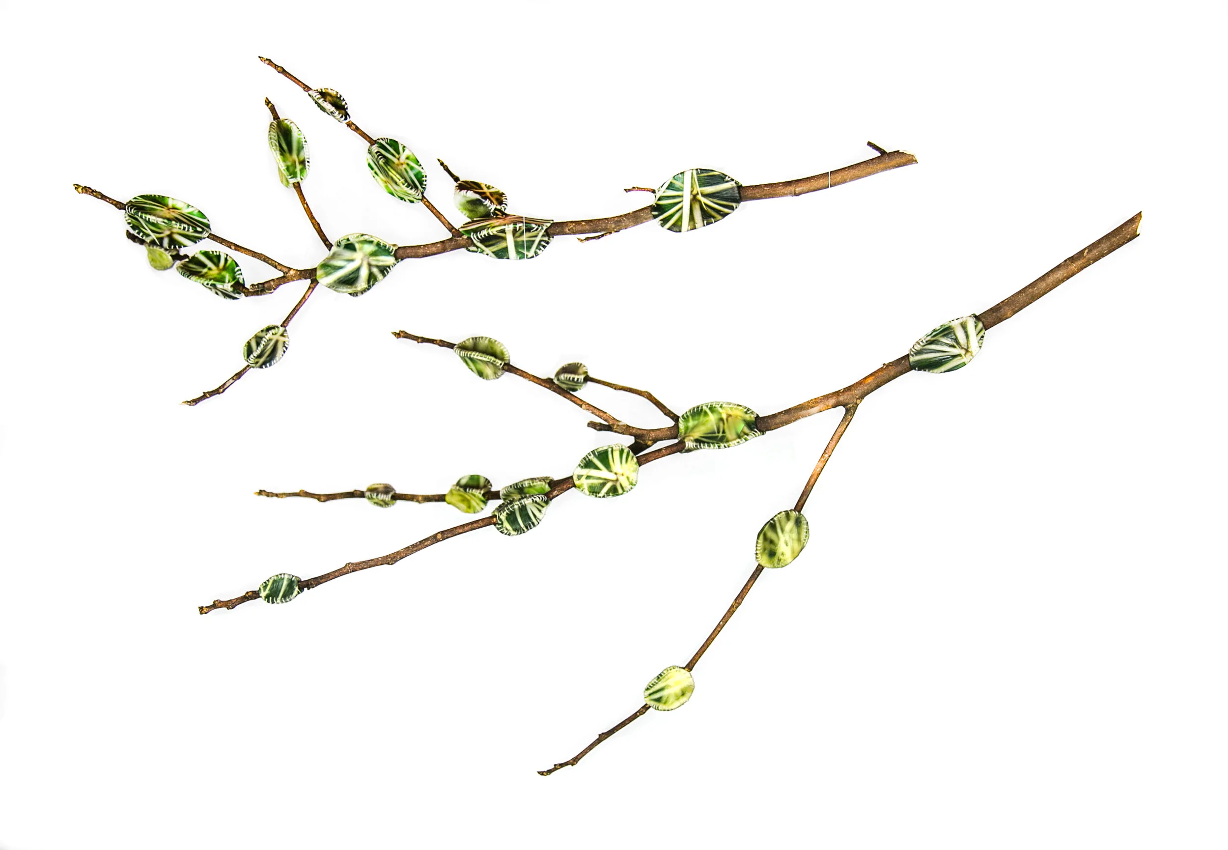 “Outgrowth”, (27 x 39 x 15 in.)