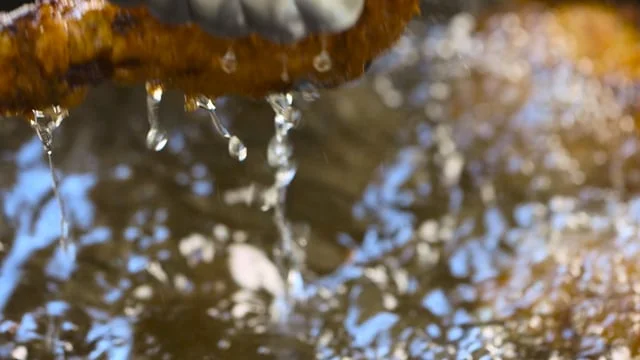 NY Times Cooking Guides - Fried Chicken