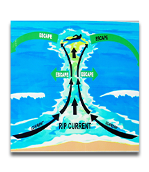 How to escape a Rip Current.
