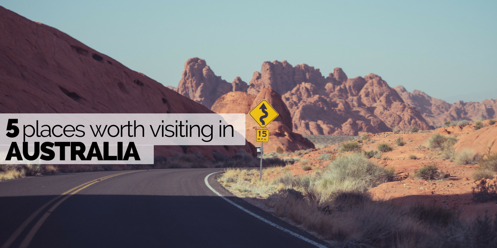 Blog_Header__5_.png