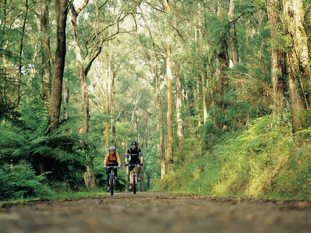 Photograph: Mark Watson, Visions of Victoria