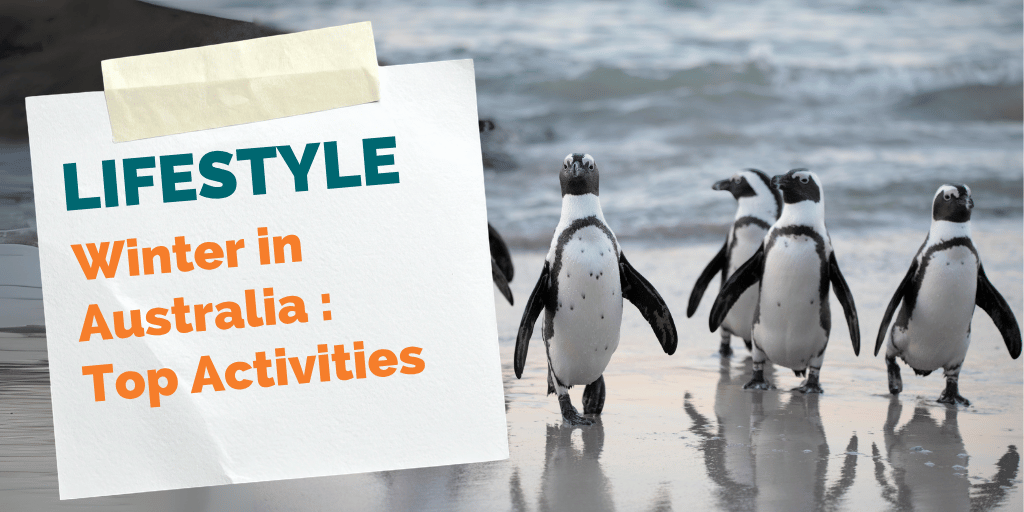 Winter in Australia: Top Activities to Enjoy the Coolest Season Down Under