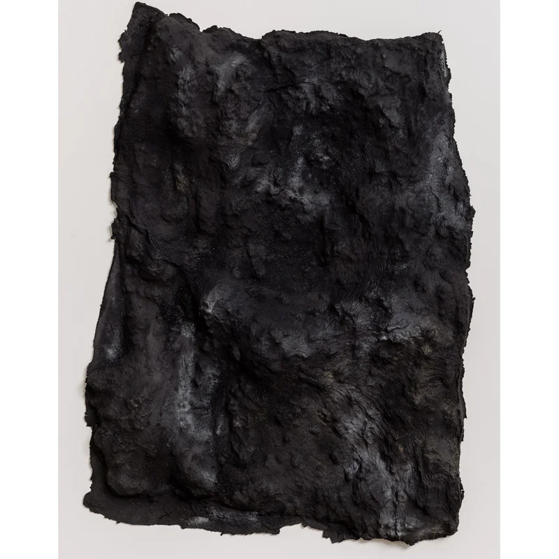 Blane De St. Croix- Lava Bed, Kilauea 1