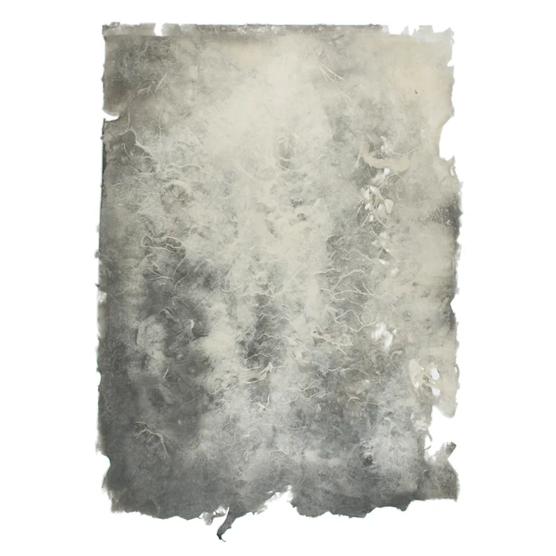 Jarrod Beck - Columms/column of