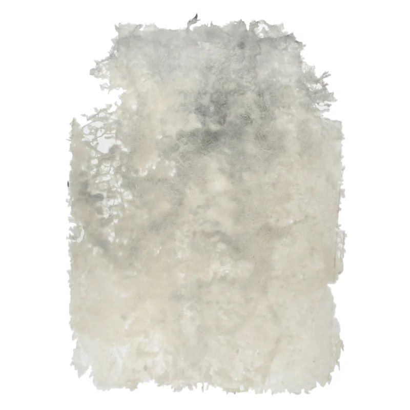 Jarrod Beck - Of dust/dust