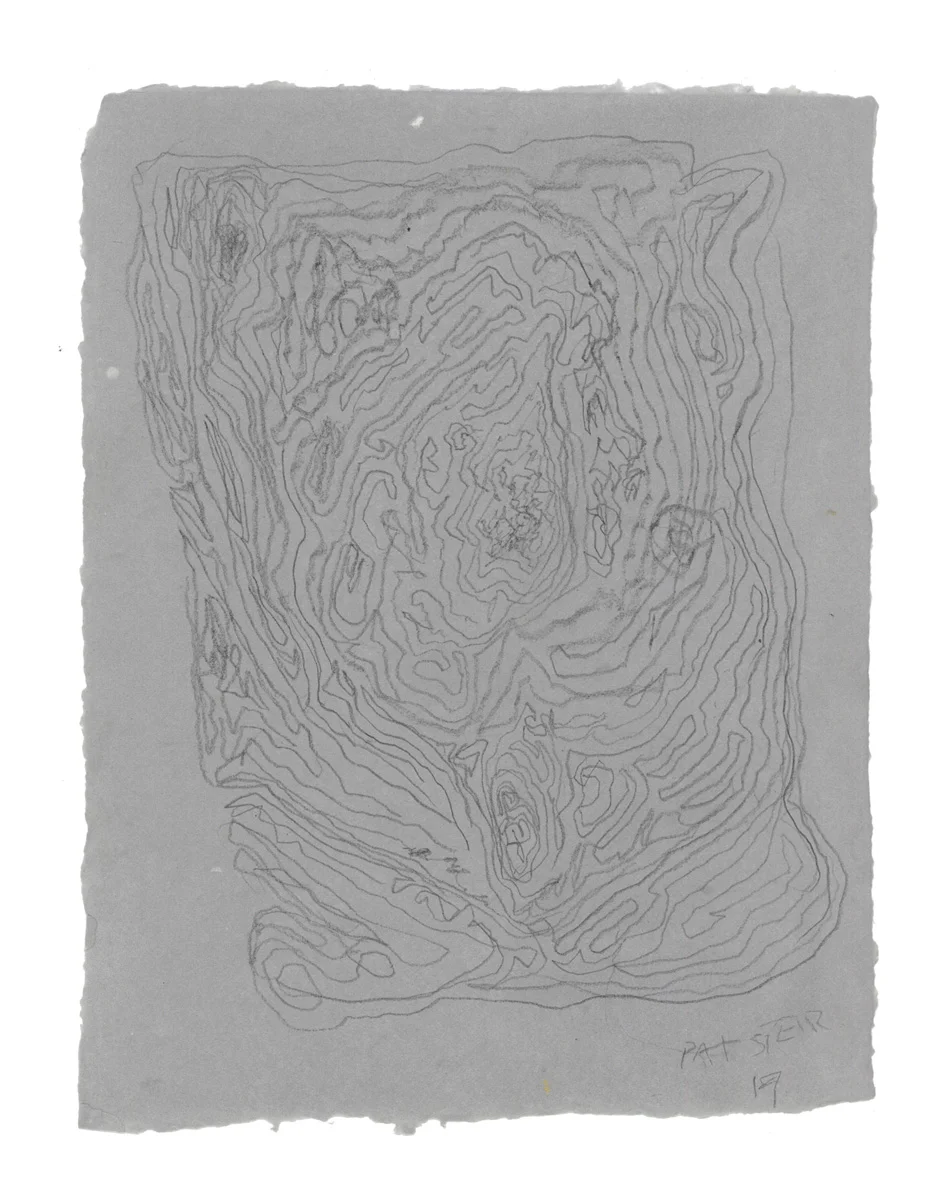 Pat Steir, Untitled Drawing