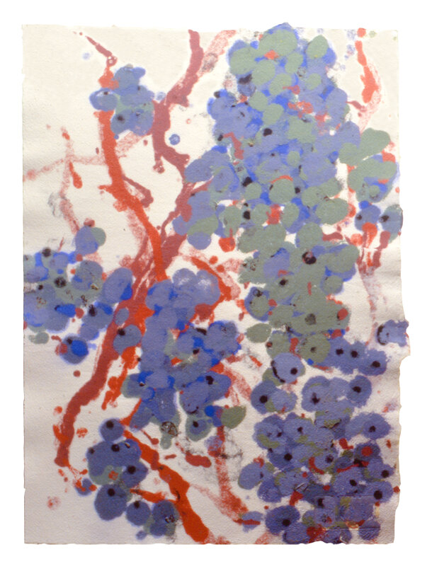   Wen Yi Hou   Grape Change , 1991 Tea, cotton, handmade paper 22 x 30 Inches 