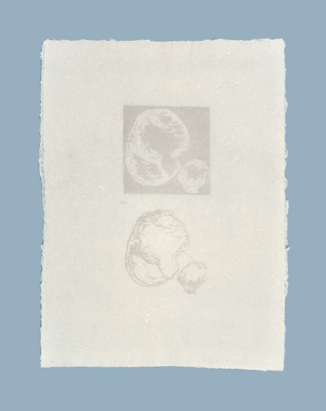   Carter Hodgkin   Gaussian Blur-2 , 1991 Handmade abaca paper with photosilkscreen watermark 22 x 30 Inches each 