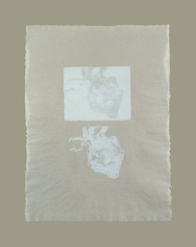   Carter Hodgkin   Gaussian Blur-4 , 1991 Handmade abaca paper with photosilkscreen watermark 22 x 30 Inches each 