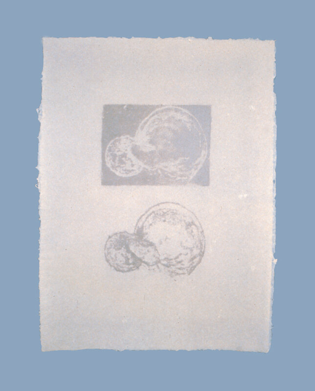   Carter Hodgkin   Gaussian Blur-6 , 1991 Handmade abaca paper with photosilkscreen watermark 22 x 30 Inches each 