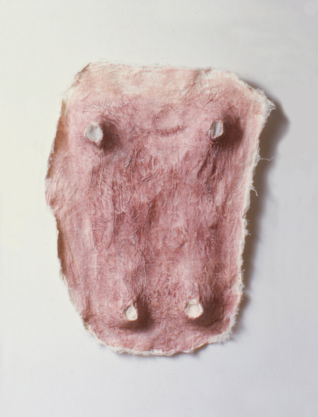  Elisa D’Arrigo   Recollection #14 , 1994 Handmade paper, cheesecloth, wax 24 x 16 x 4 Inches 