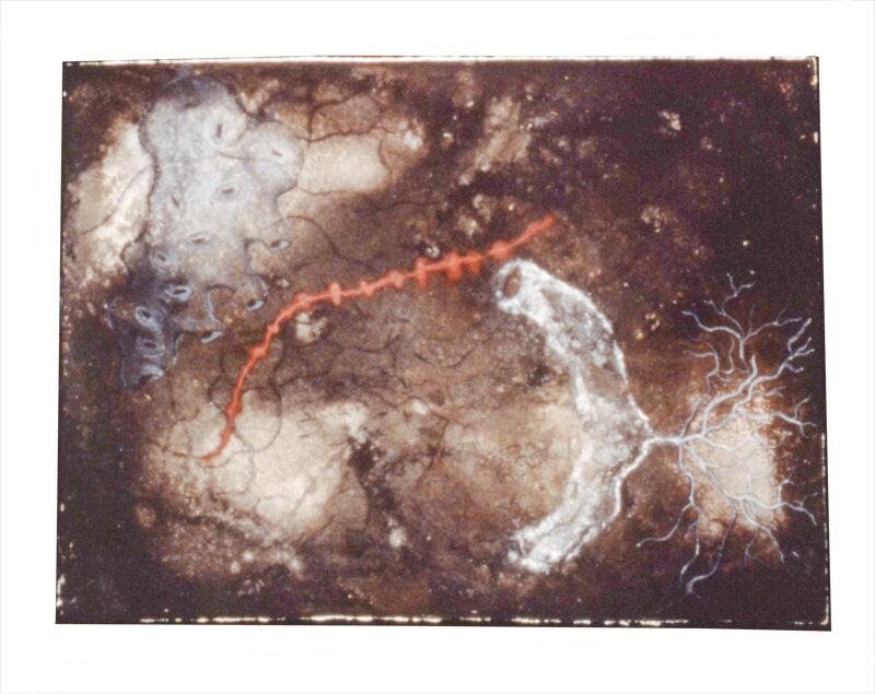   Cynthia Porter   Untitled , 1995 Drawing, paint, handmade paper 22 x 30 Inches 