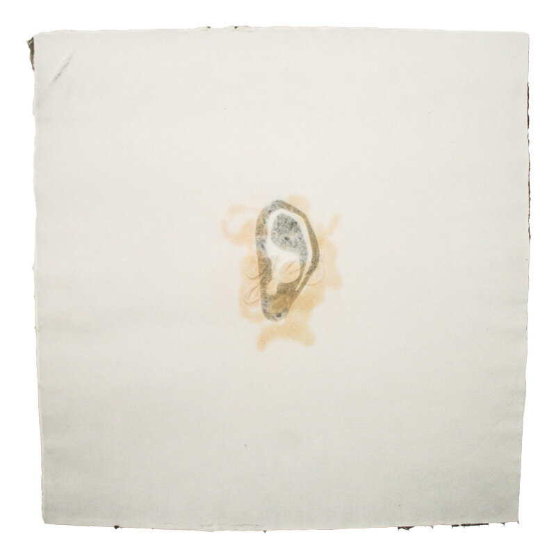   Cynthia Thompson   Whisper , 1998 Mold on watermarked cotton on pigmented cotton paper, embossed 22 1/4 x 21 1/4 Inches 