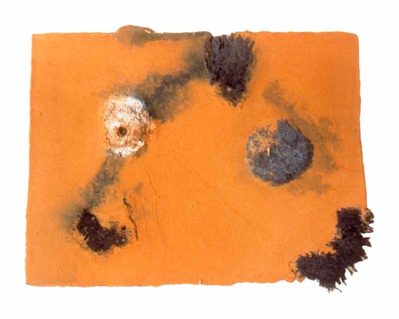   Suzanna Starr   Untitled , 2000 Sea sponge, abaca pulp, pigment 18 x 23 Inches 