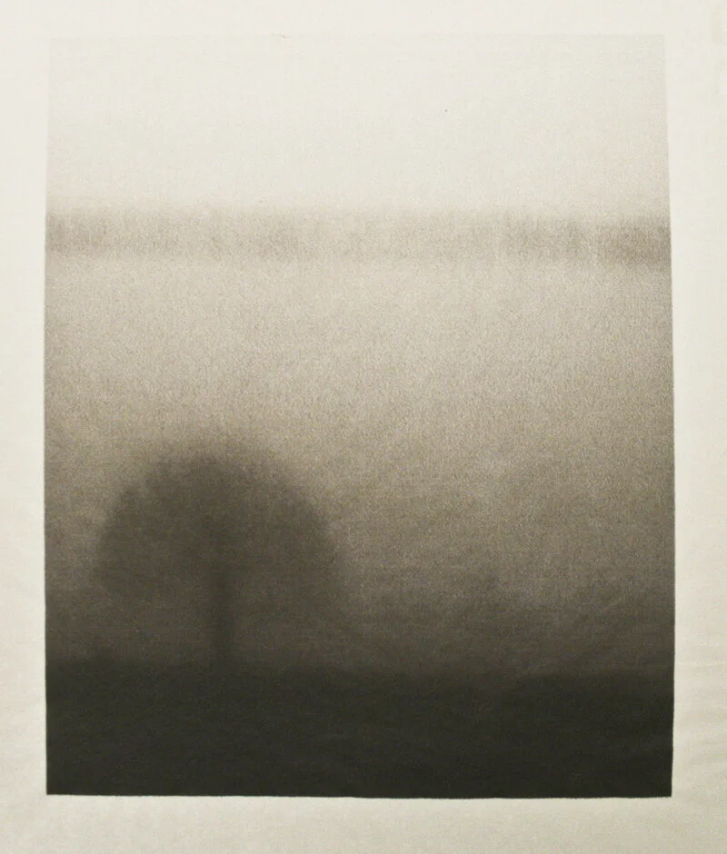 Roberely Bell Perfect View (detail) , 2001 Handmade abaca paper with watermark and archival digital print, 25 x 36 Inches, print size 14 x 16 Inches