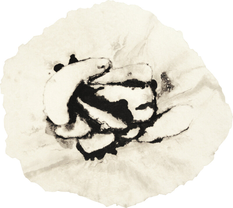   Chris Nau   The Blind Opportunist , 2010 black pigmented linen pulp in cast cotton handmade paper 19 3/4 inches (diameter) 
