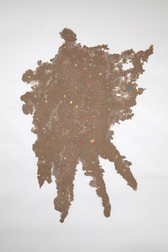   Ian Cooper   Cameo 5 , 2011 Pigmented cotton pulp with cast cotton ‘Froot Loops’ and applied abaca monoprint 54 x 35.5 inches 137.2 x 90.2 cm 
