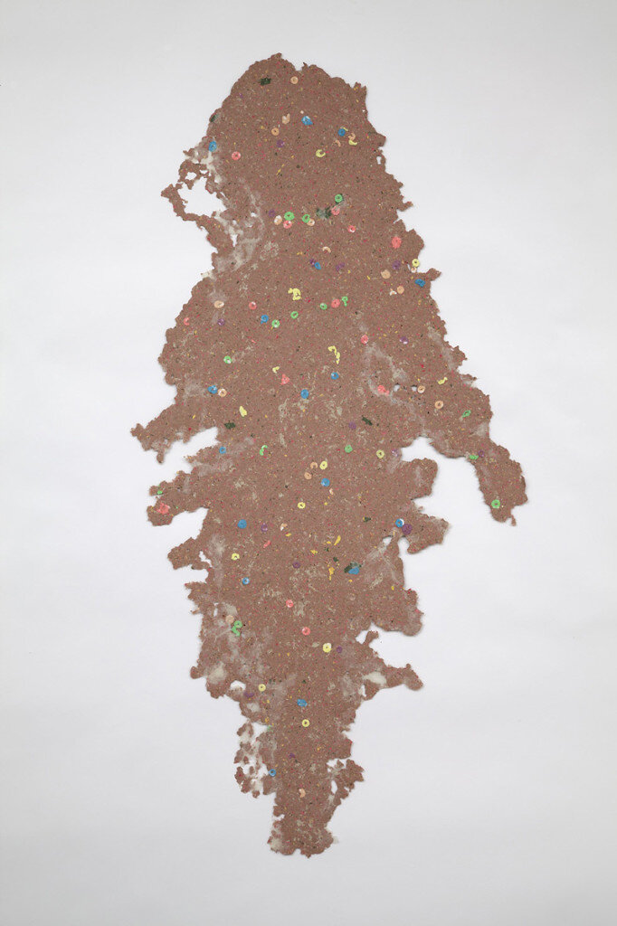   Ian Cooper   Cameo 8 , 2011 Pigmented cotton pulp with cast cotton ‘Froot Loops’ and applied abaca monoprint 54 x 35.5 inches 137.2 x 90.2 cm 
