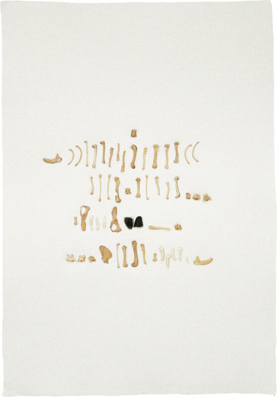   Nina Lola Bachhuber   Untitled , 2011 animal bones in cotton base sheet 24 1/2 x 35 1/2 inches 