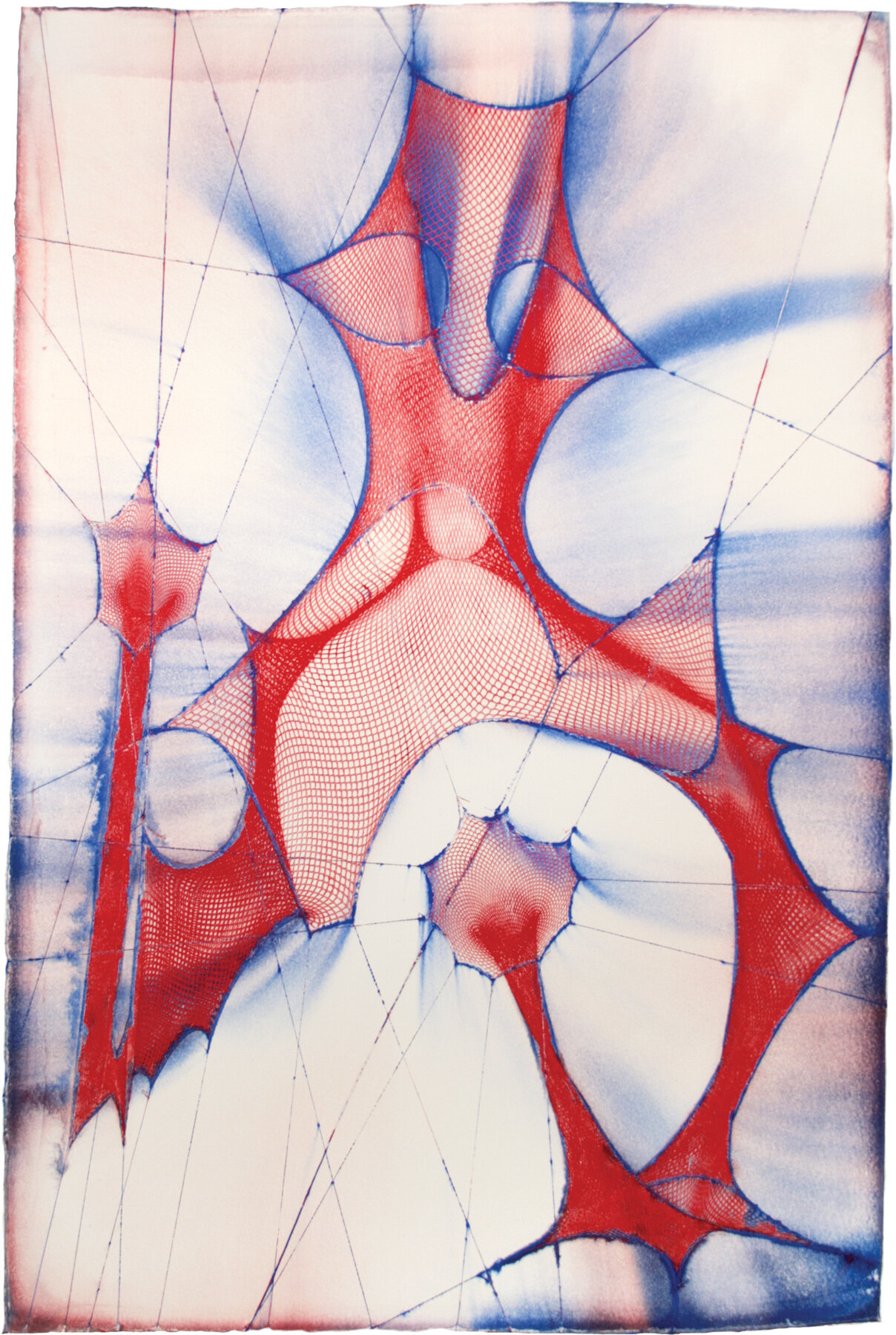  E.V. Day,  Shazam (Red and Blue) , 2009, Fishnet bodysuit pigment embossing, on cotton base sheet, 59.5 x 39.25 inches 