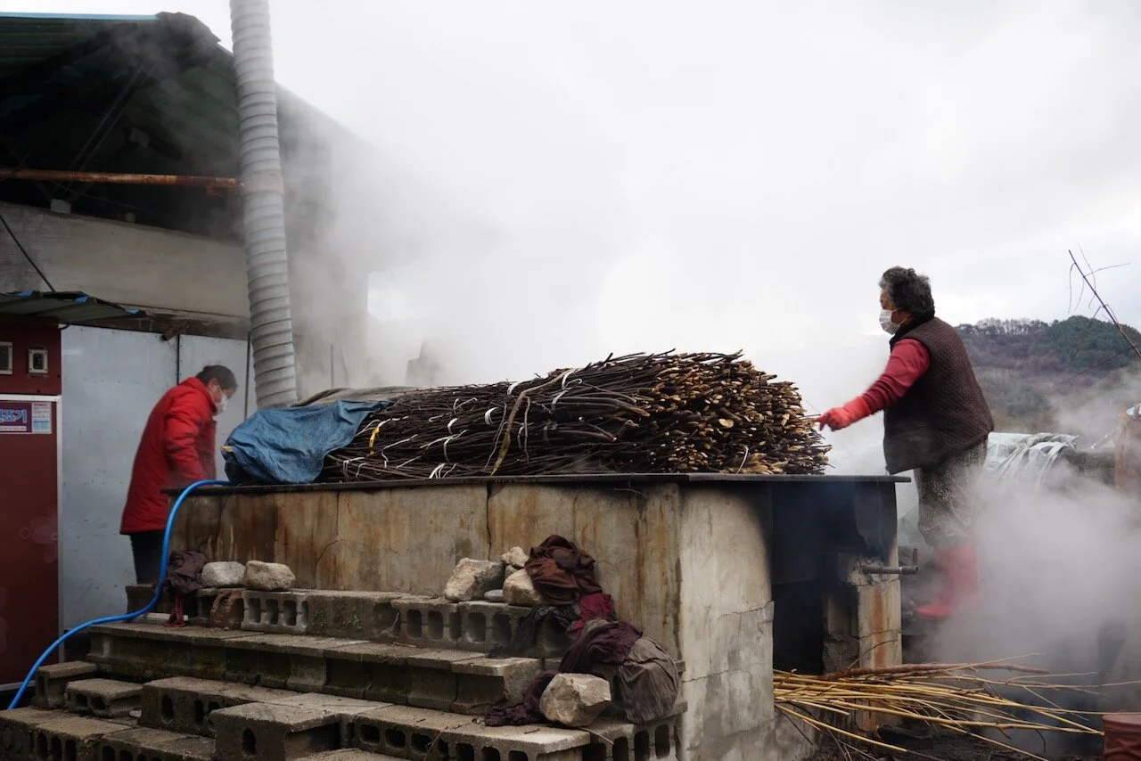 Today’s Hanji: Current Perspectives from Korea