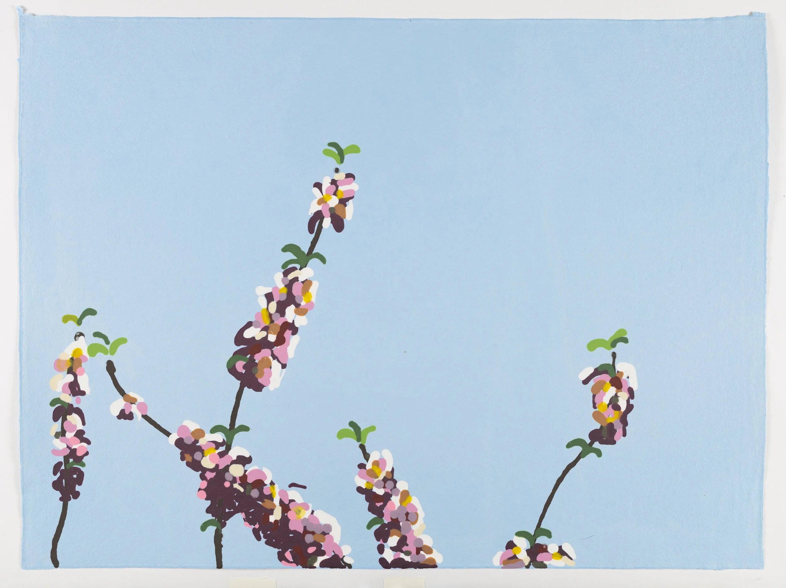 LOT 21: Paul Anthony Smith