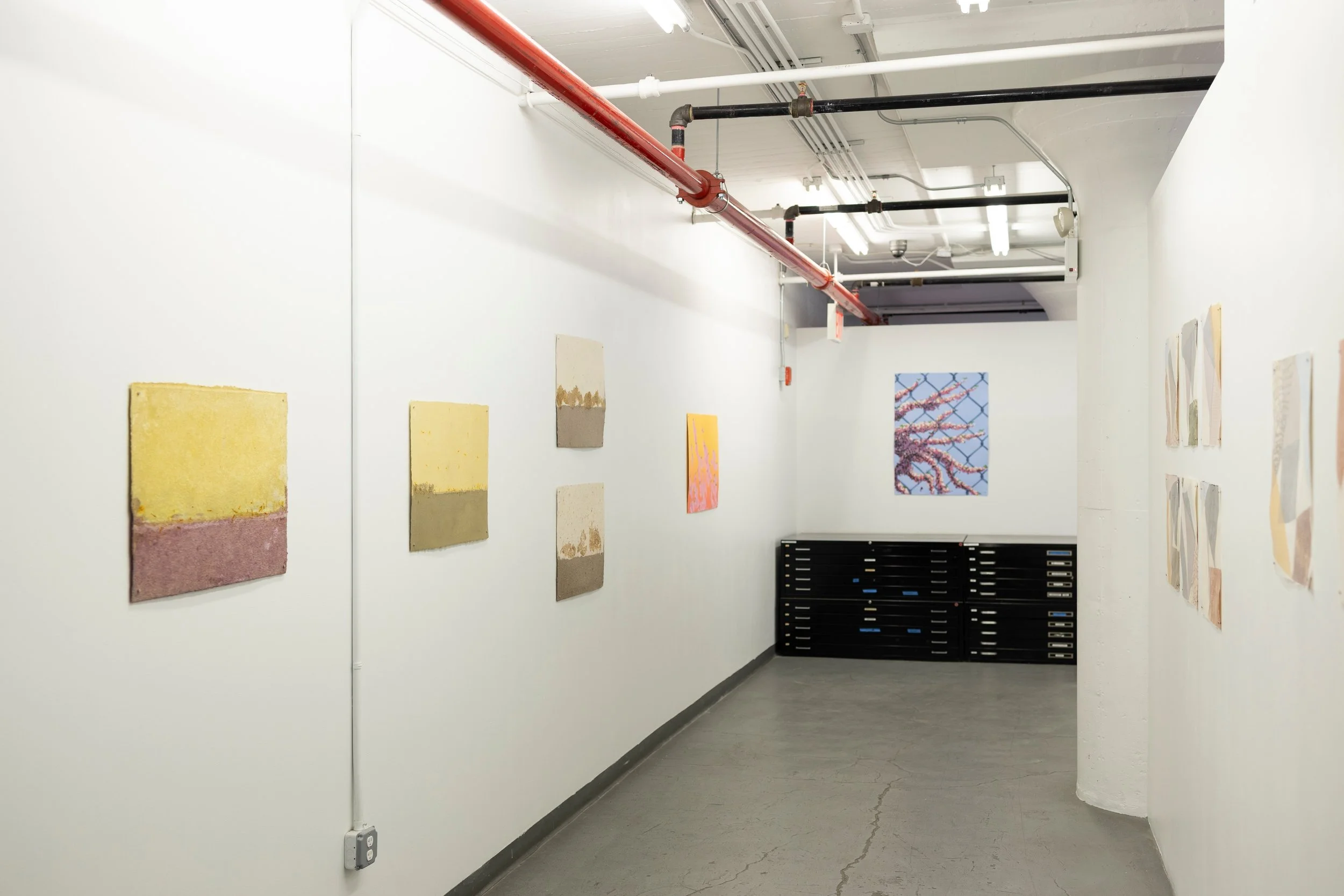 "Shifting Nature"
Paul Anthony Smith
Shervone Neckles
Martha Tuttle

On view through October 30, 2026

This exhibition highlights selected works from Dieu Donn&eacute;&rsquo;s 2026 Paper Variables by @PaulAnthonySmithStudio, @Shervone_Neckl