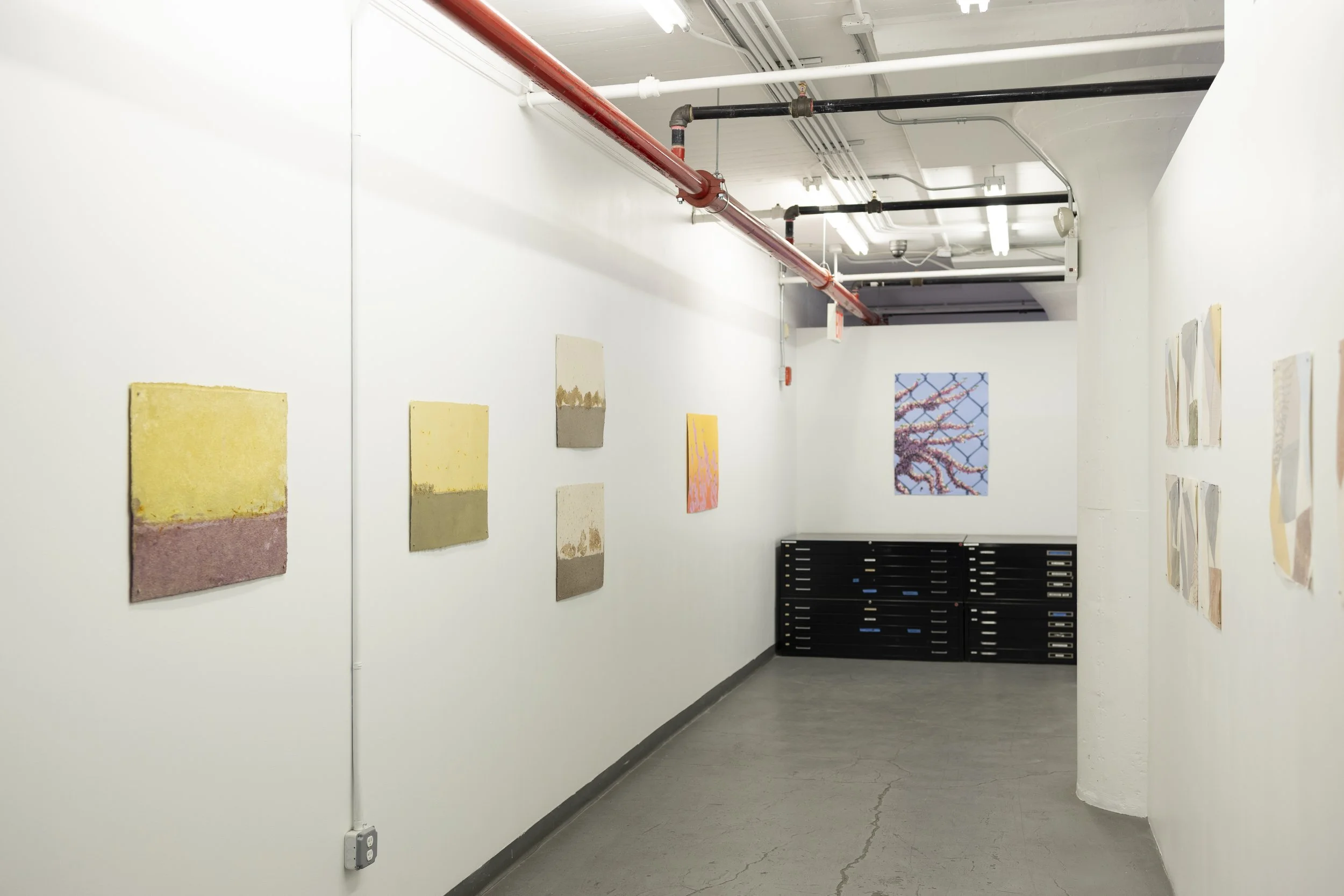 DieuDonne_PV2026_exhib-install-2.jpg