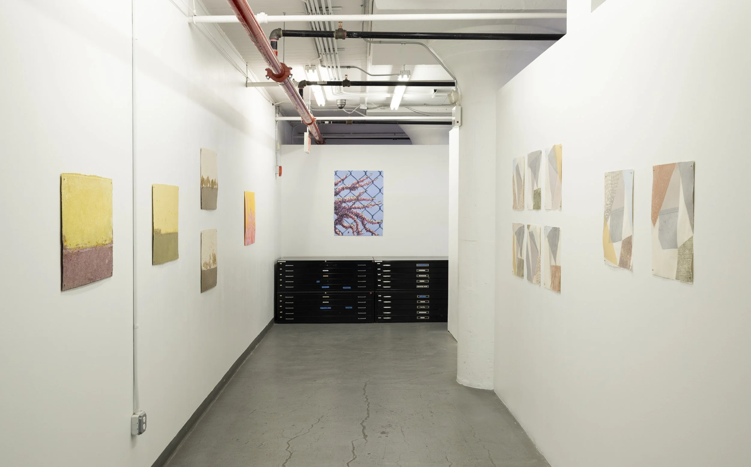 DieuDonne_PV2026_exhib-install-1.jpg