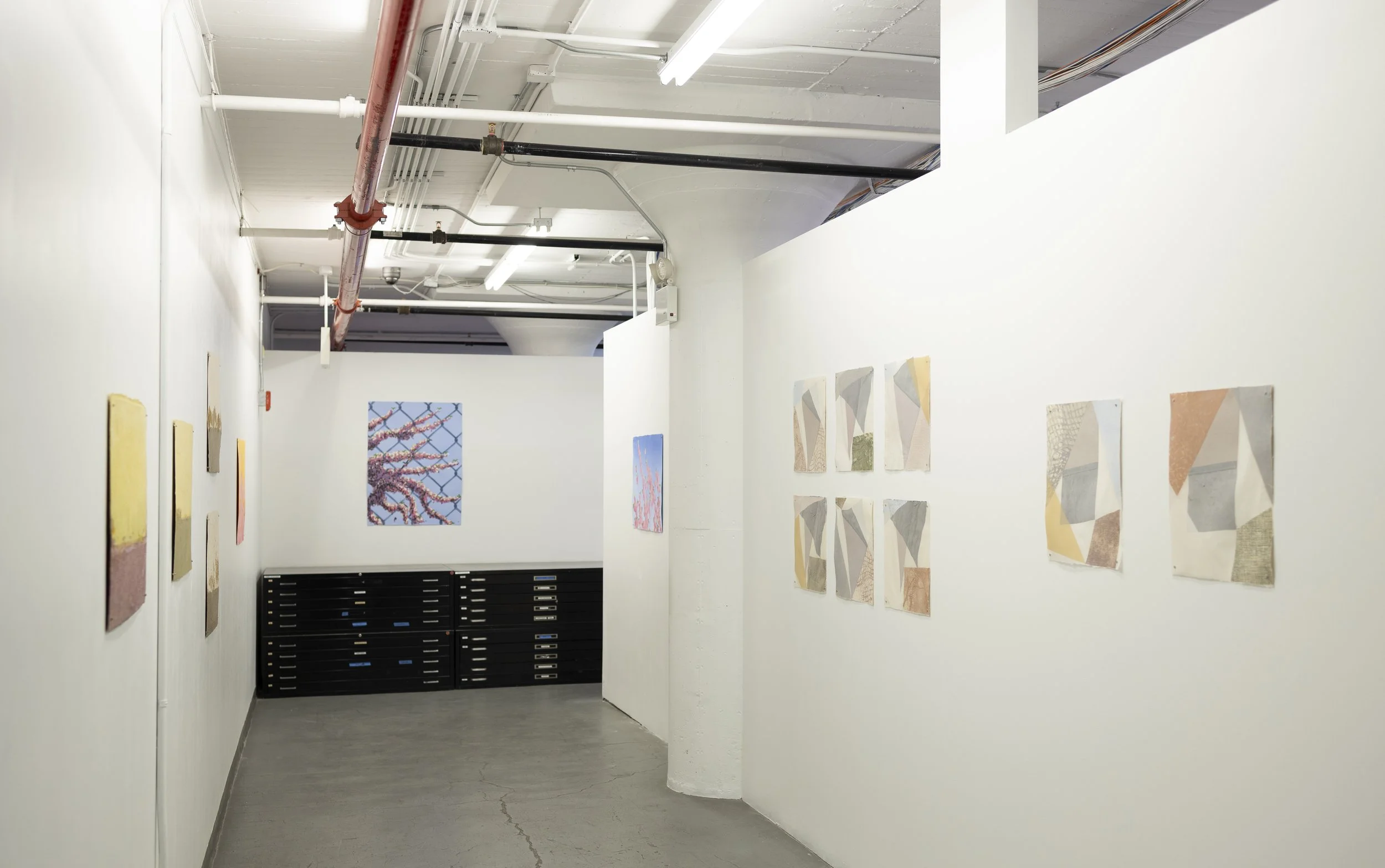 DieuDonne_PV2026_exhib-install-3.jpg