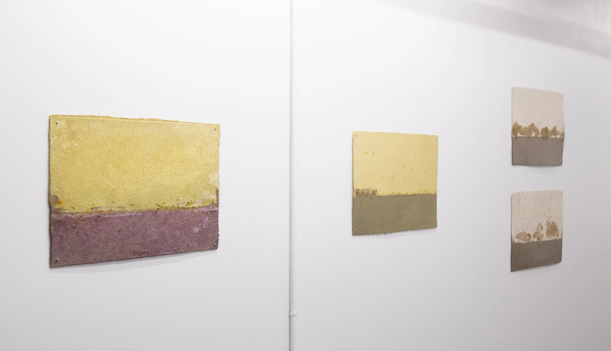 DieuDonne_PV2026_exhib-install-4.jpg