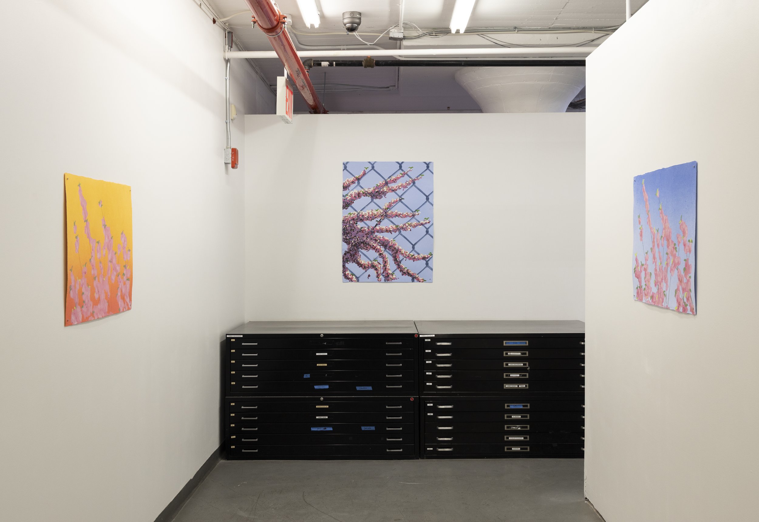 DieuDonne_PV2026_exhib-install-5.jpg