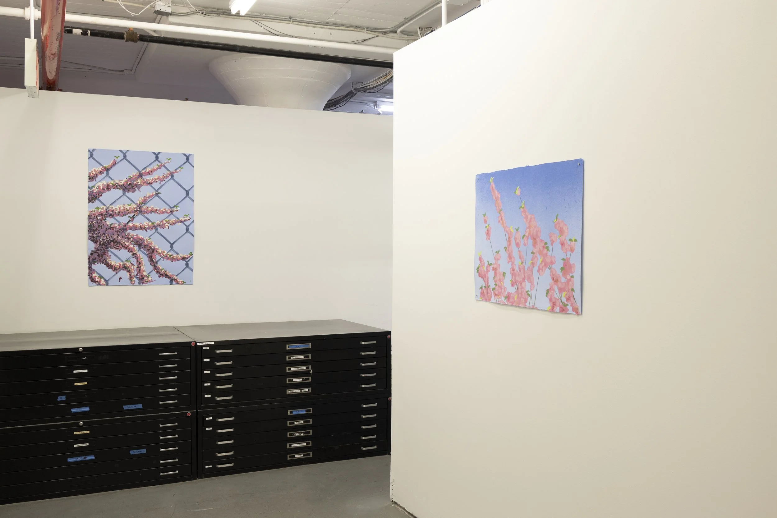 DieuDonne_PV2026_exhib-install-7.jpg