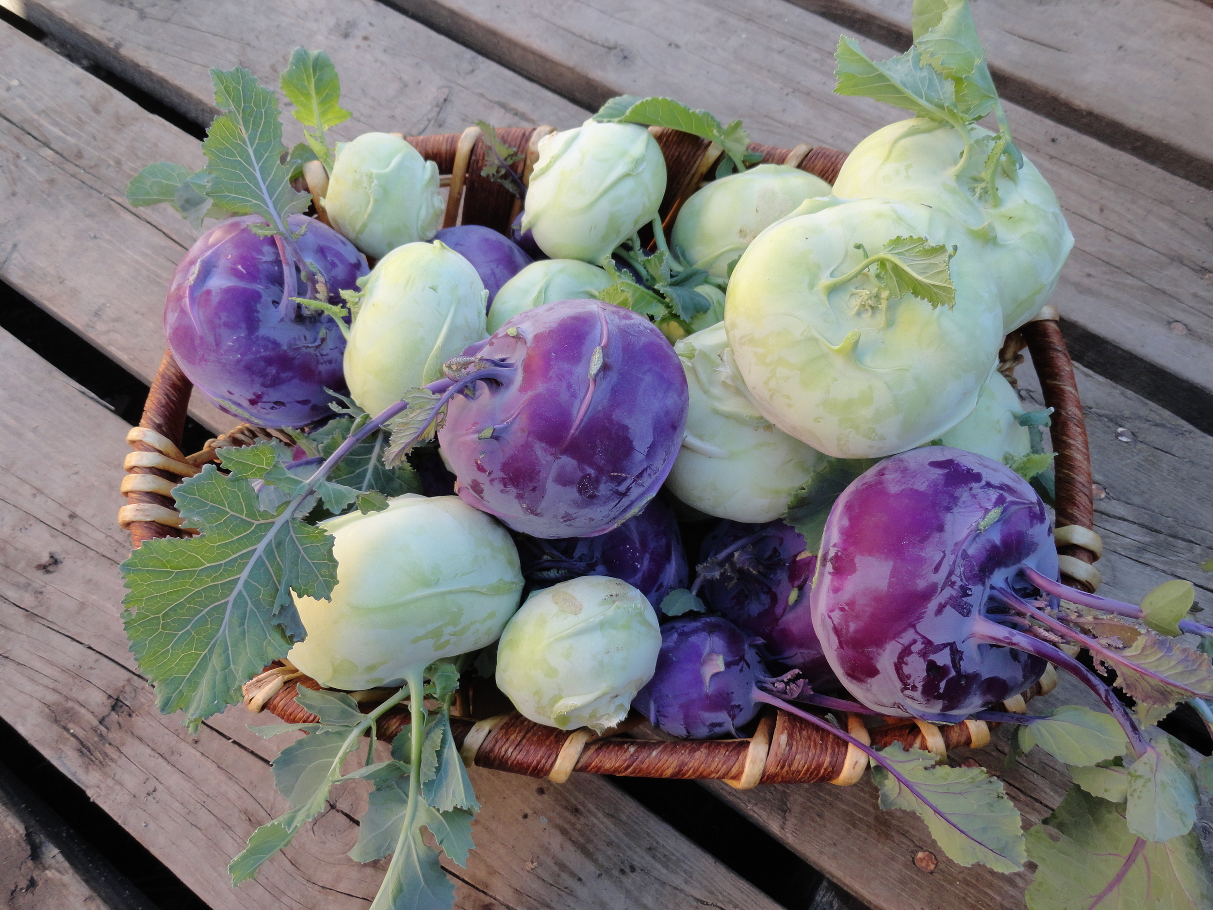 we'll have both green and purple kohlrabi