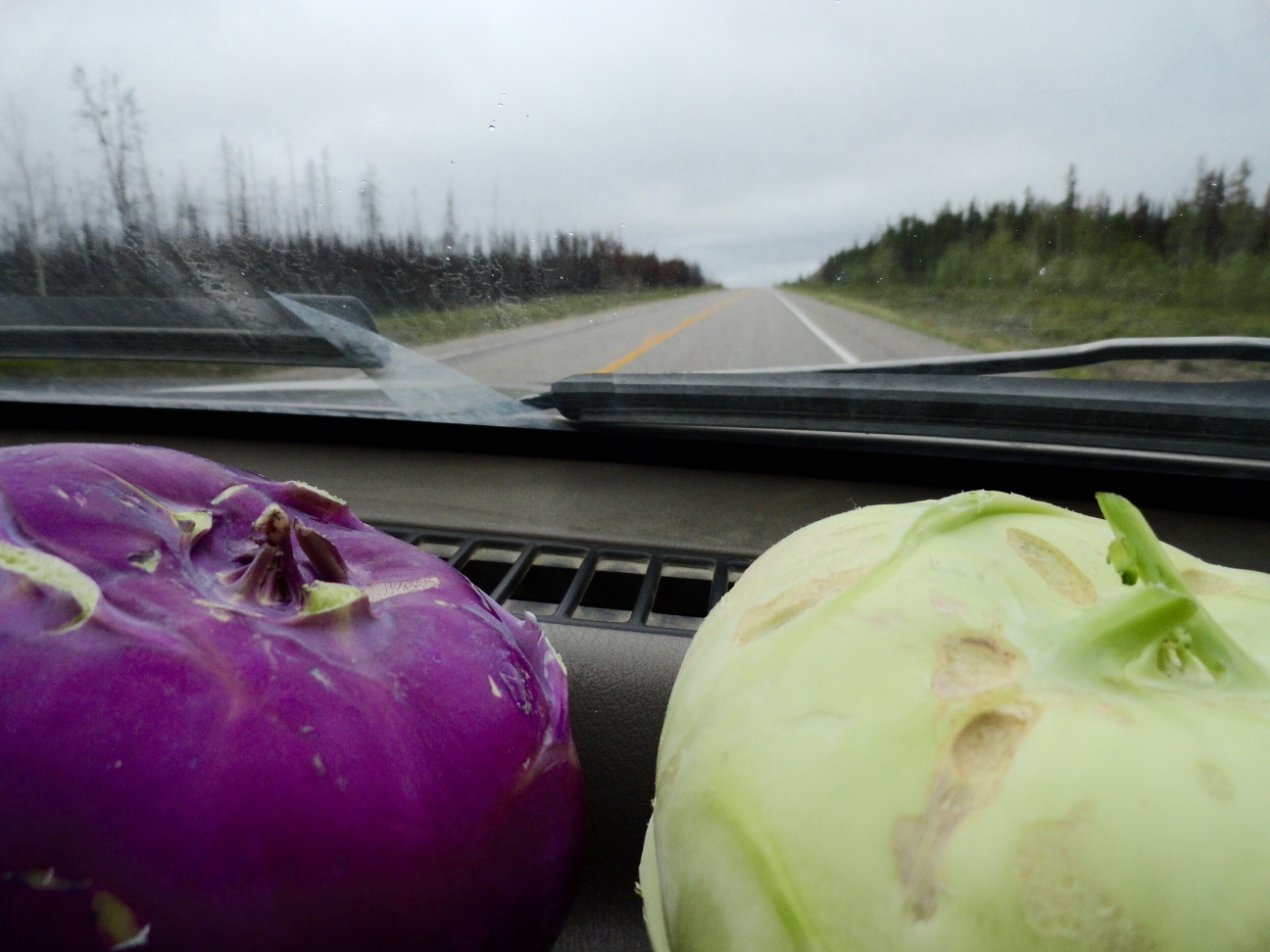 On their way to meet Yellowknife!