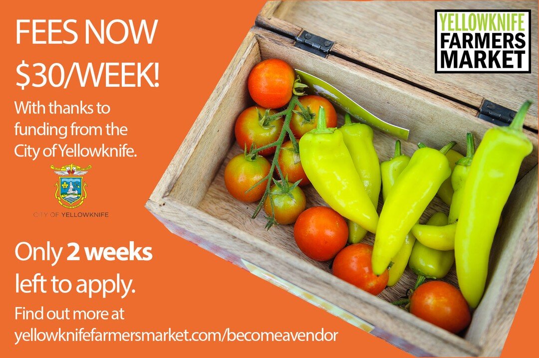 We are so pleased to announce that we are now able to offer a reduced rate of $30 per week at the Market with thanks to funding from the City of Yellowknife!
This is available to everyone, even if you have applied and been approved already.
You also 