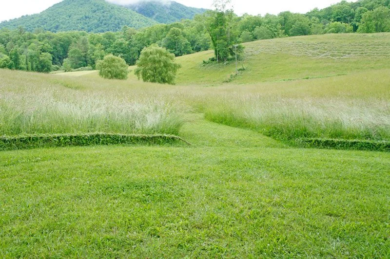grassbraiding4.jpg