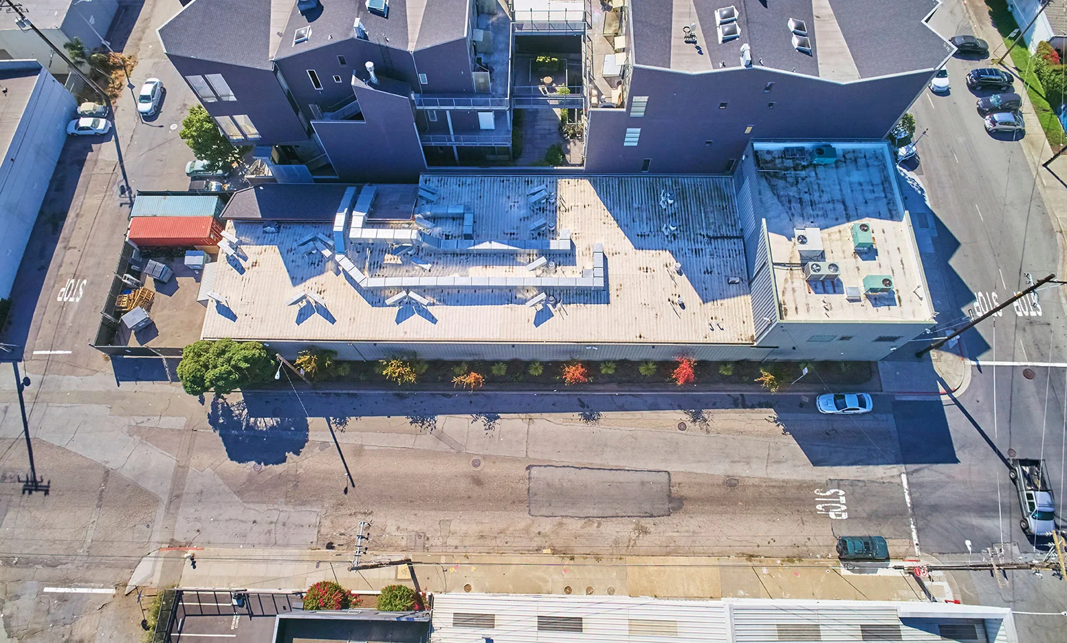 25thStGreening_2017-0657.jpg