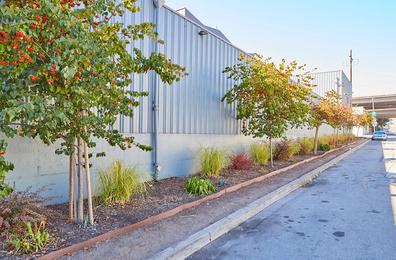 25thStGreening_2017-0638.jpg
